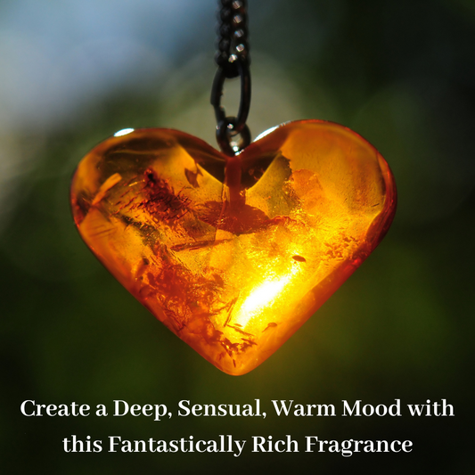 Warm Amber Fragrance Gift Set