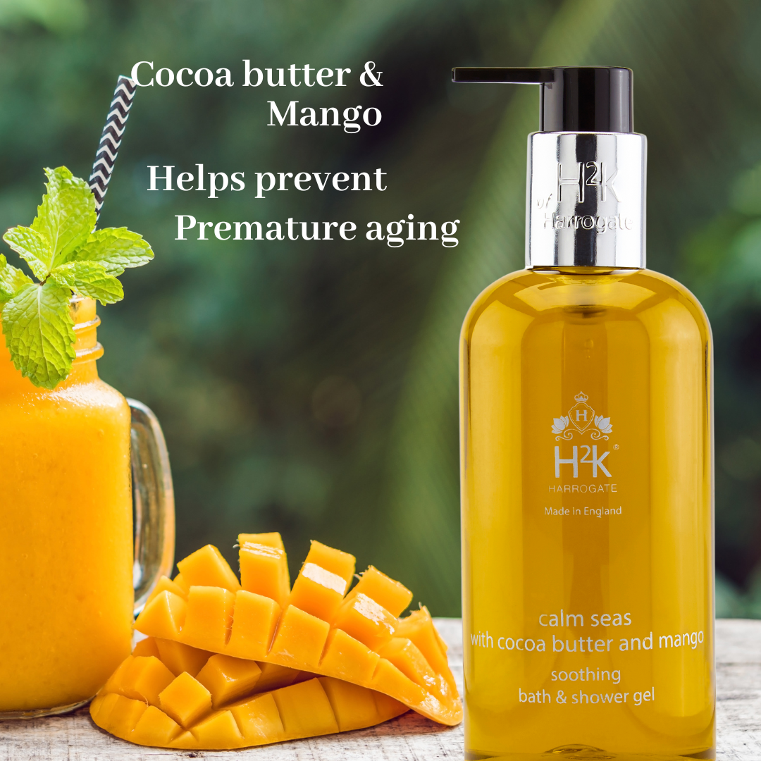Cocoa Butter and Mango Hand and Body Wash Jewel In Gift Box