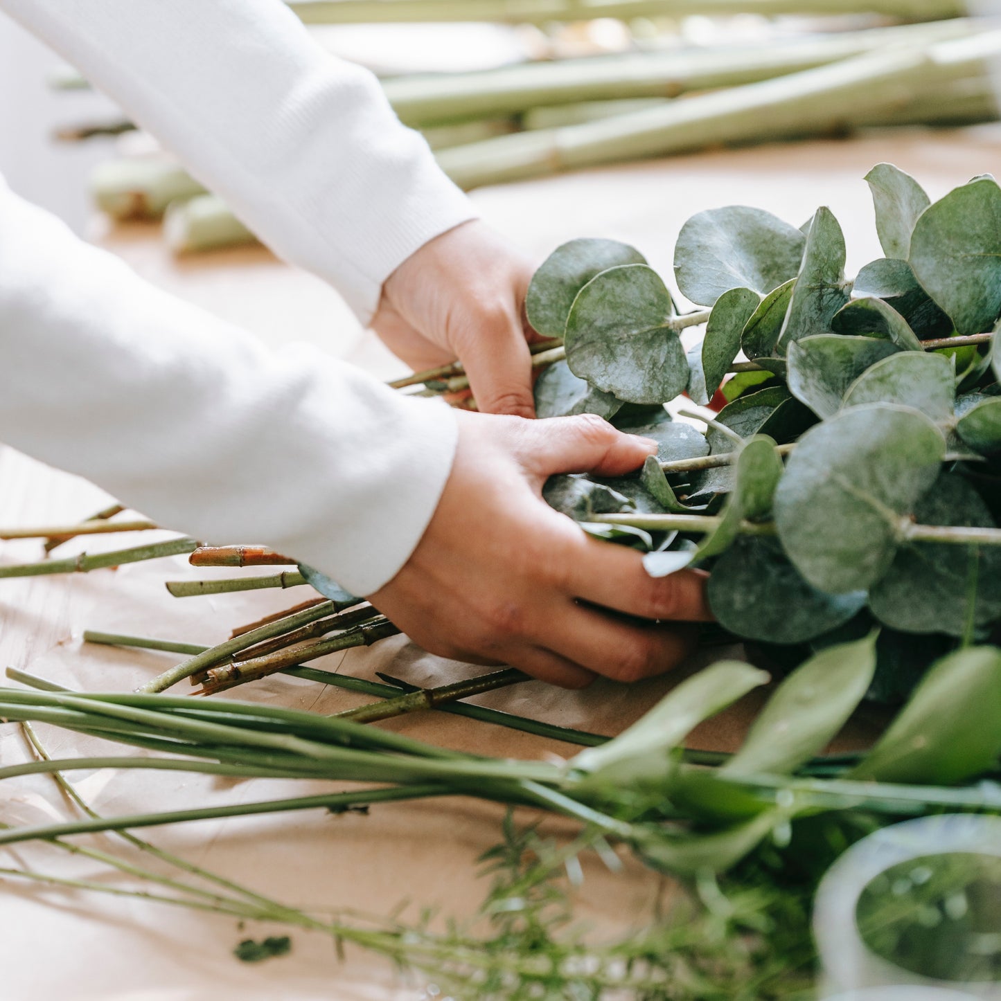 Mischief Body Care Gift with Eucalyptus & Frankincense