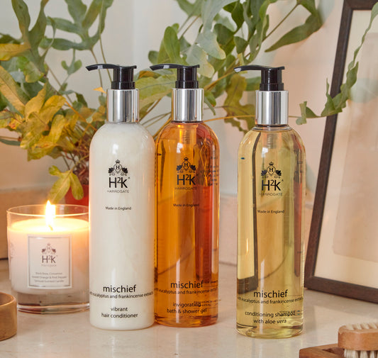 Nourishing Hair Conditioner for Dry Hair with Frankincense and Eucalpytus