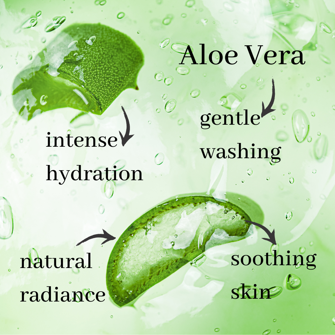 Seakelp Hand Wash with Aloe Vera Organic Lifestyle collection