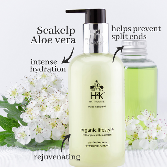 Anti-frizz Hair Shampoo with Seakelp and Aloe Vera