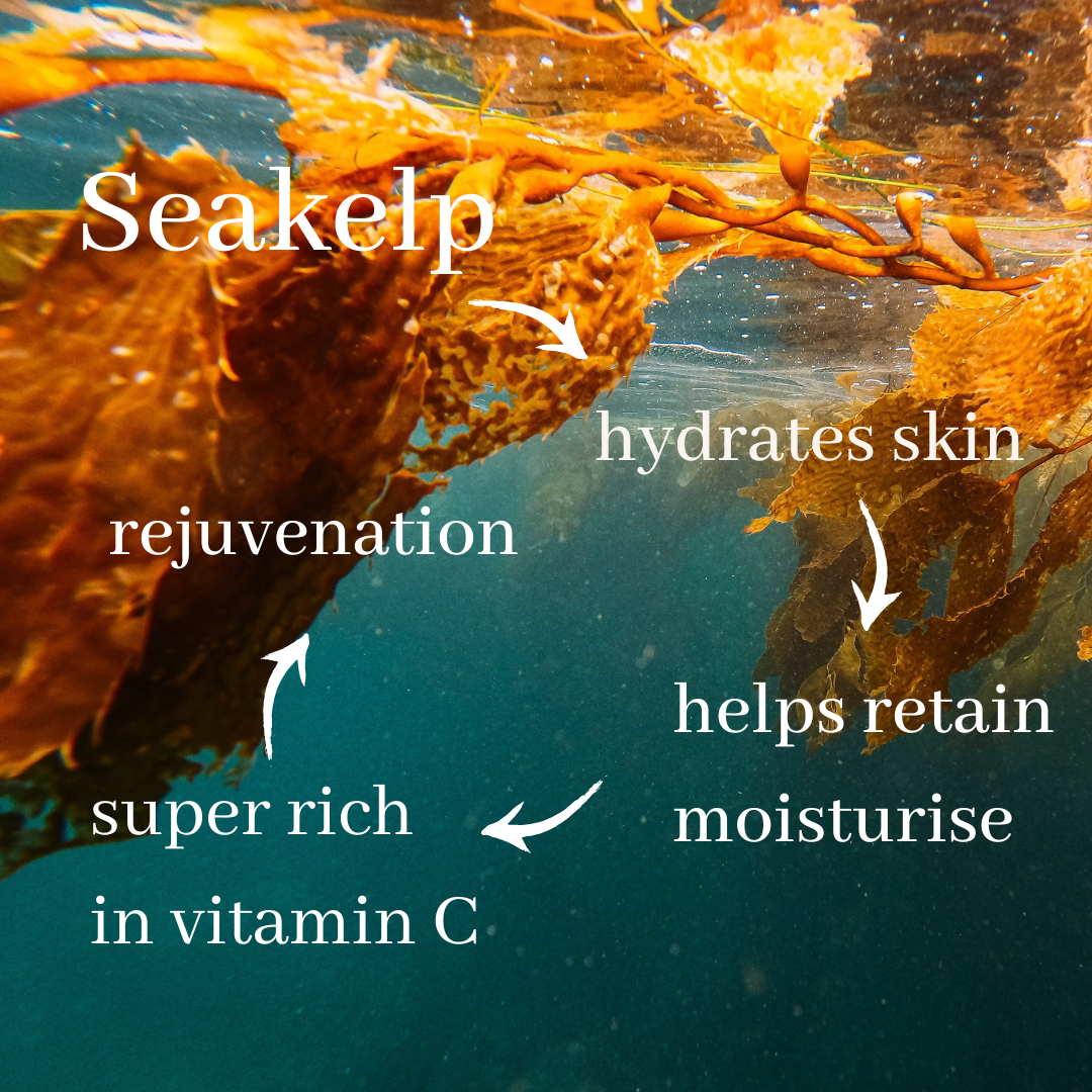 Organic Lifestyle Seakelp Bath & Shower Gel 750ml Refill