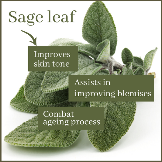 Sage Leaf Bath & Body Wash