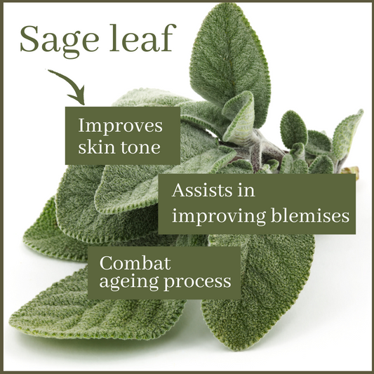 Sage leaf bath & body wash