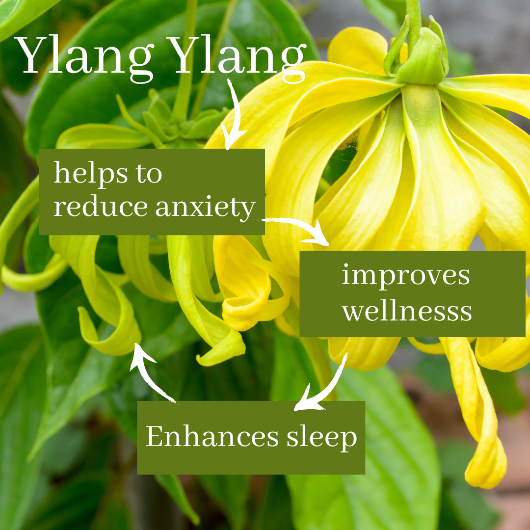 Deep Sleep Mist with Lavender & Ylang Ylang TRIO OFFER
