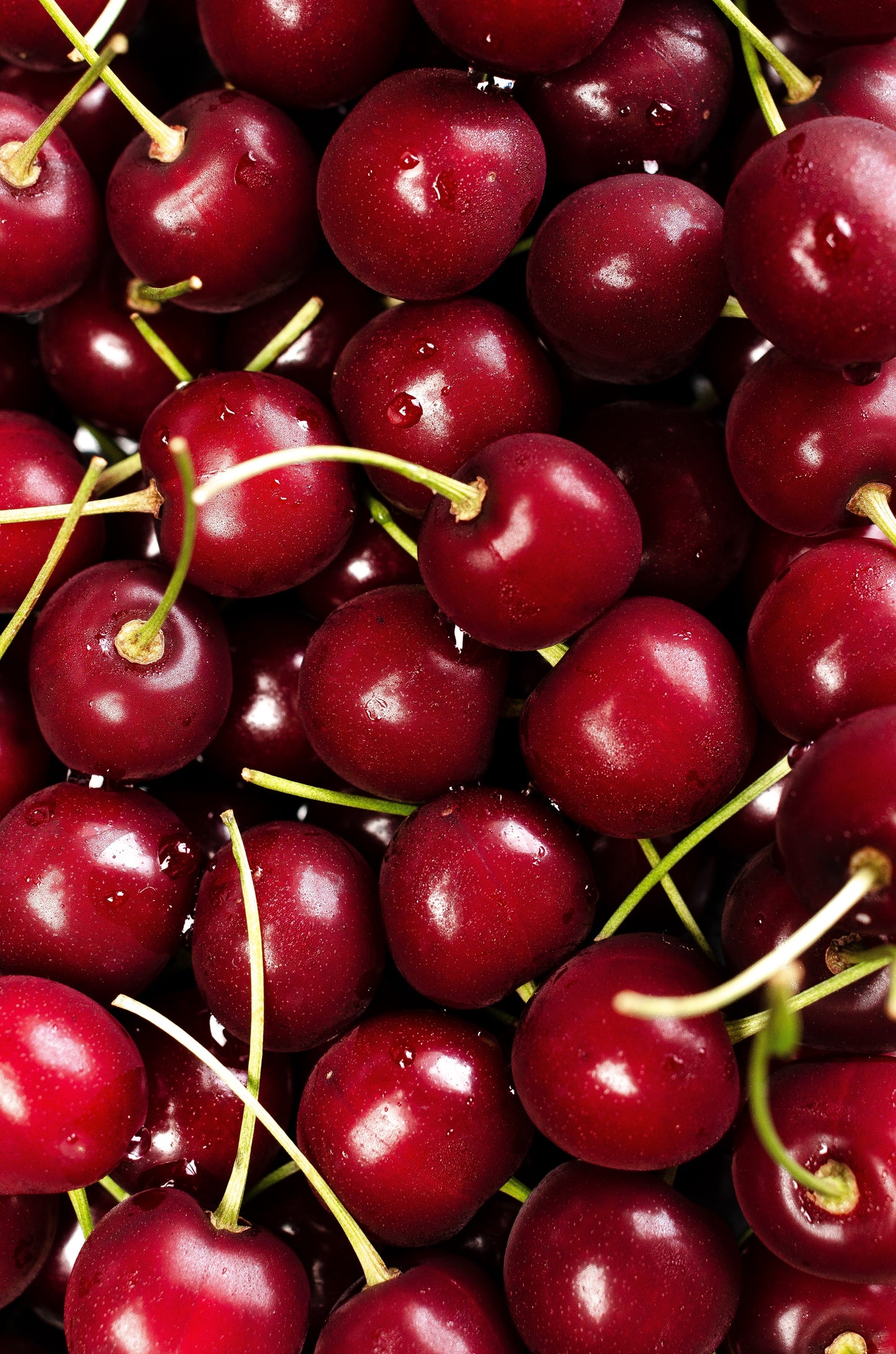 Rose and Black Cherry Hand Wash with Nourishing Lip Rescue