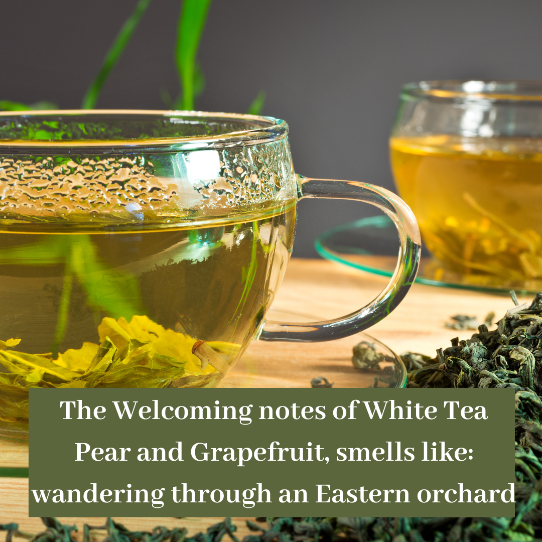 House Warming Delicious White Tea, Pear and Grapefruit Reed Diffuser