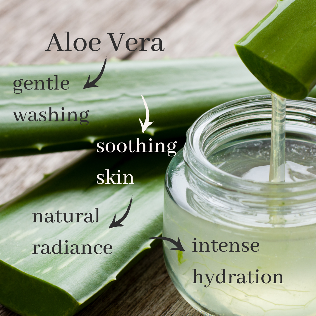 Cucumber Hand & Body Lotion Aloe Vera Organic Lifestyle Collection