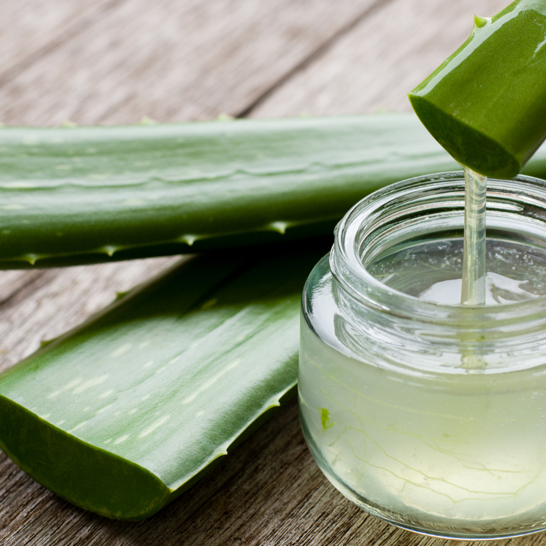 Aloe Vera Nourishing Hair Conditioner with Seakelp for Thick and Curly Hair