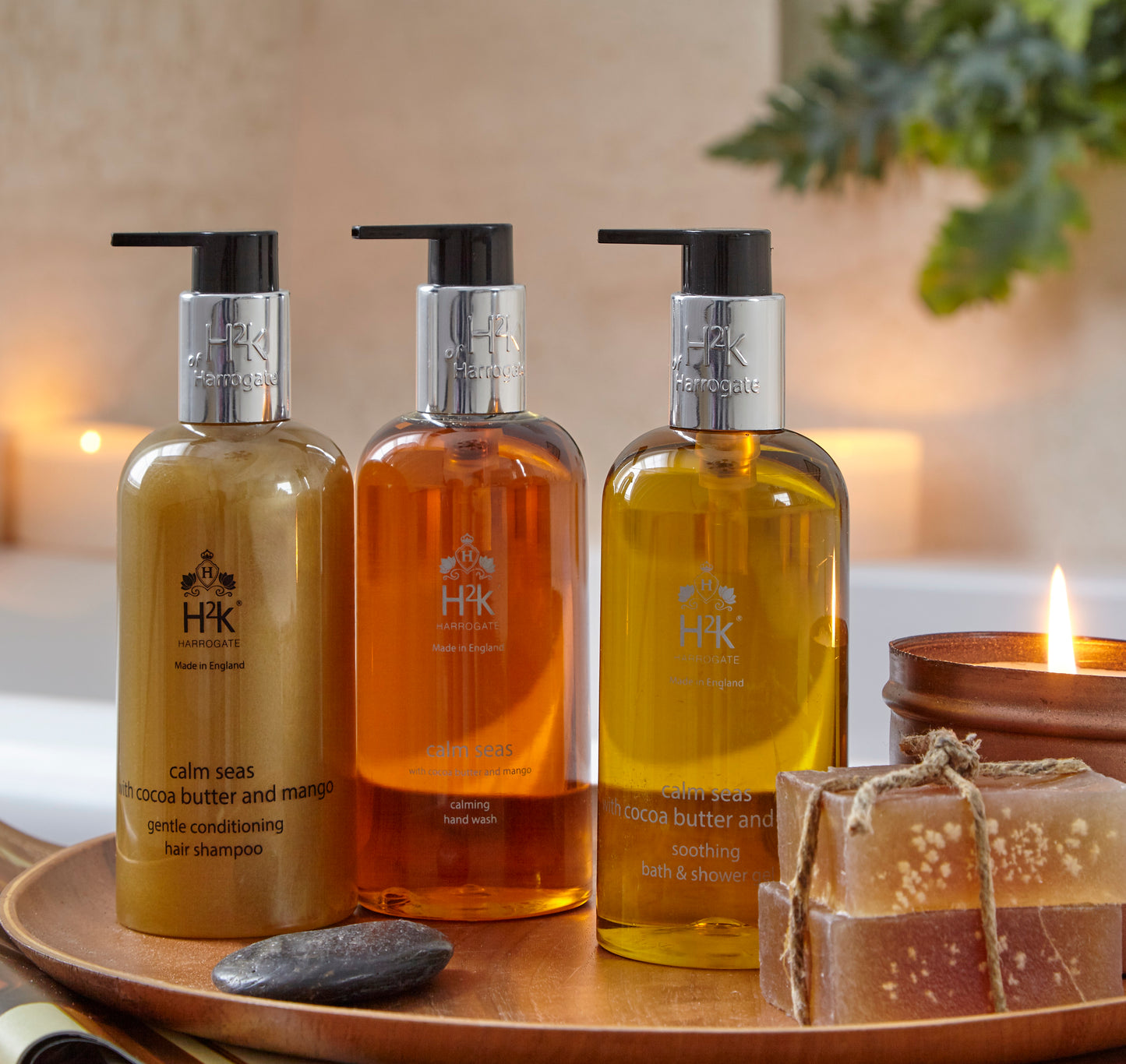 Cocoa Butter & Mango Shampoo - AWARD WINNING