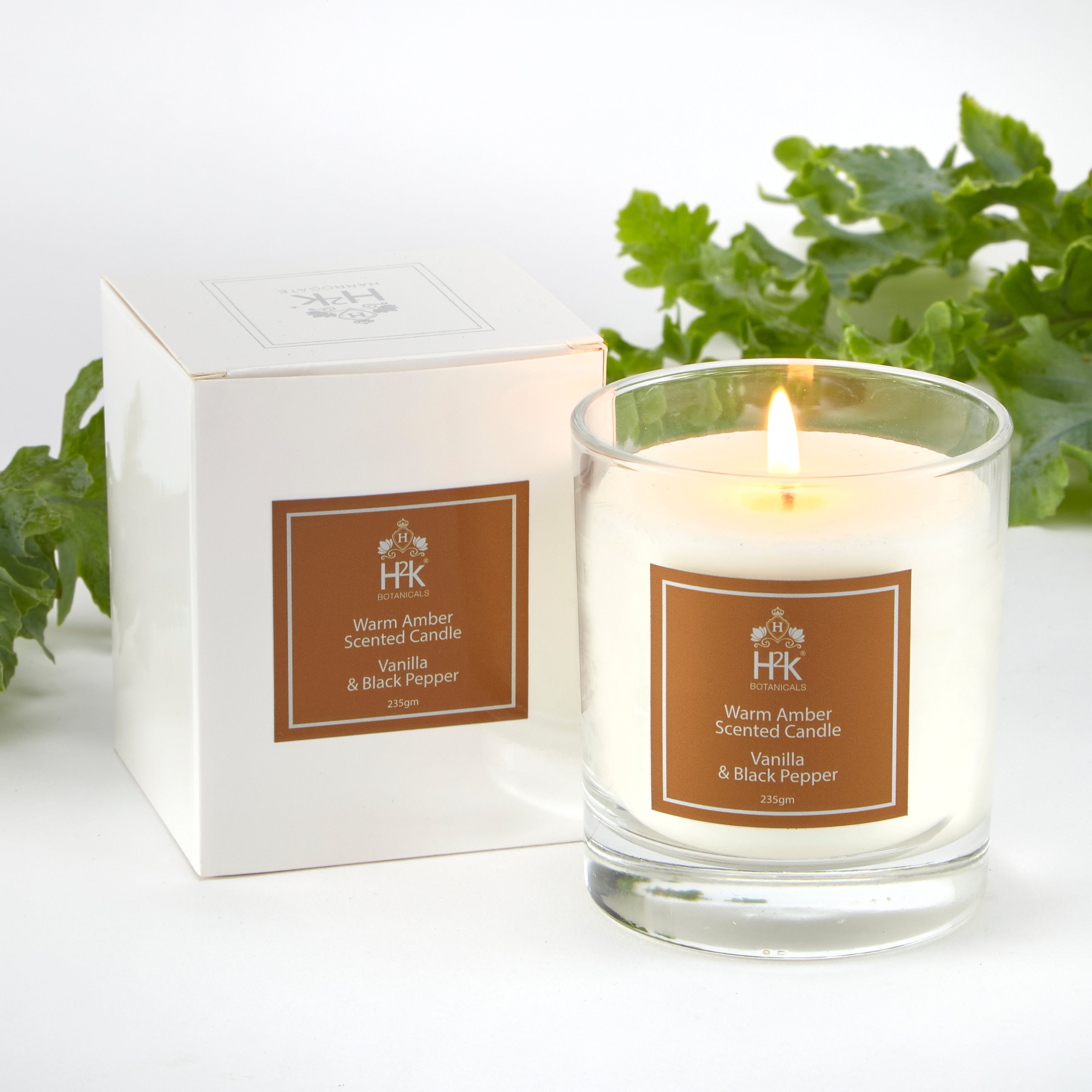 Warm Amber Pepper Vanilla Soy Wax Candle