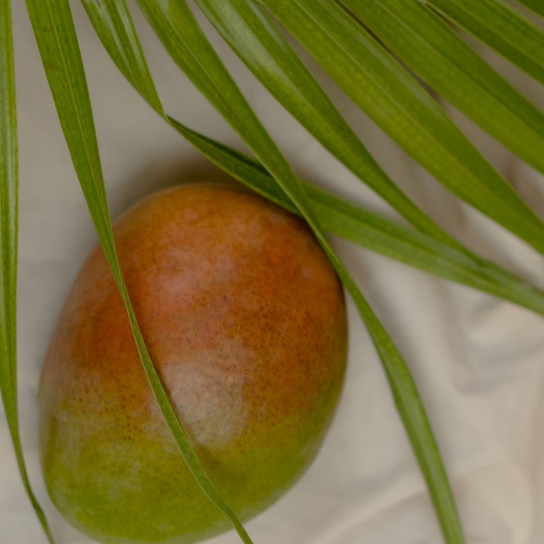 Cocoa Butter and Mango Bath and Shower Gel