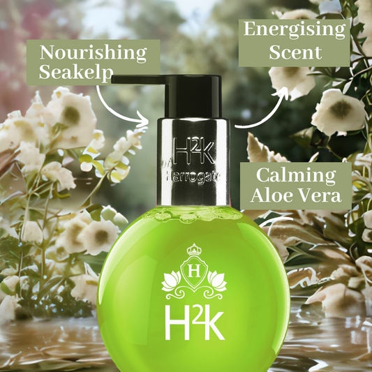 Seakelp Hand and body Wash with Aloe Vera in Jewel Gift Box