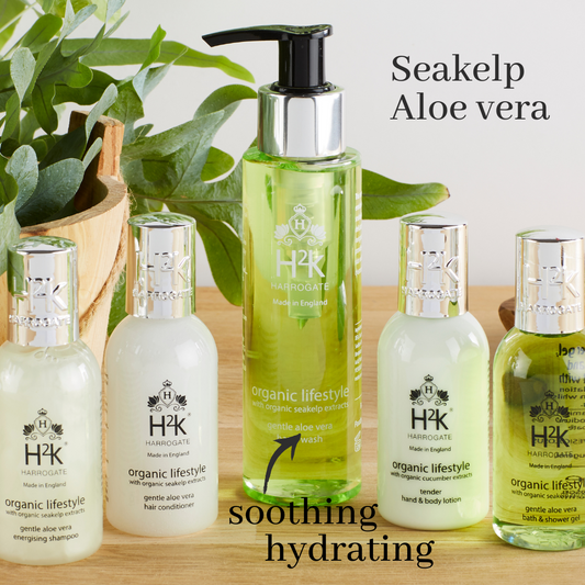 Seakelp Hand Wash with Aloe Vera Organic Lifestyle collection