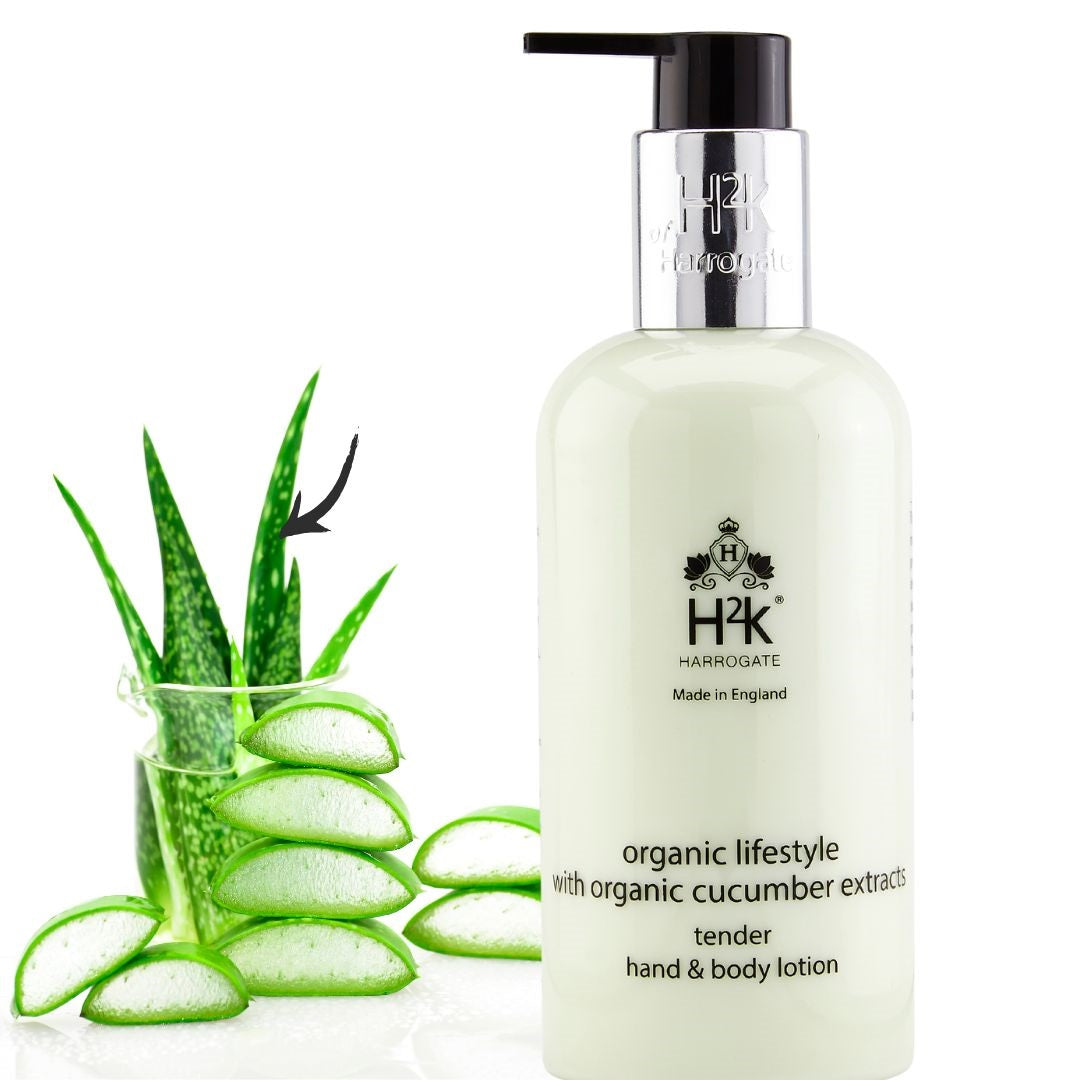 Cucumber Hand & Body Lotion Aloe Vera Organic Lifestyle Collection