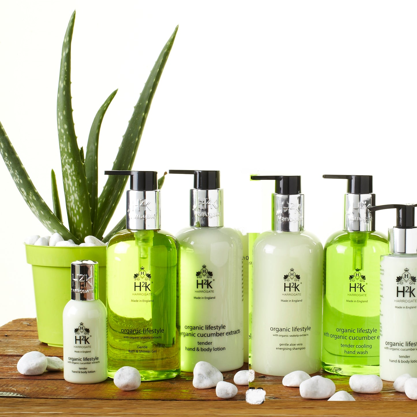 Seakelp Shower Gel with Aloe Vera Organic Lifestyle Collection