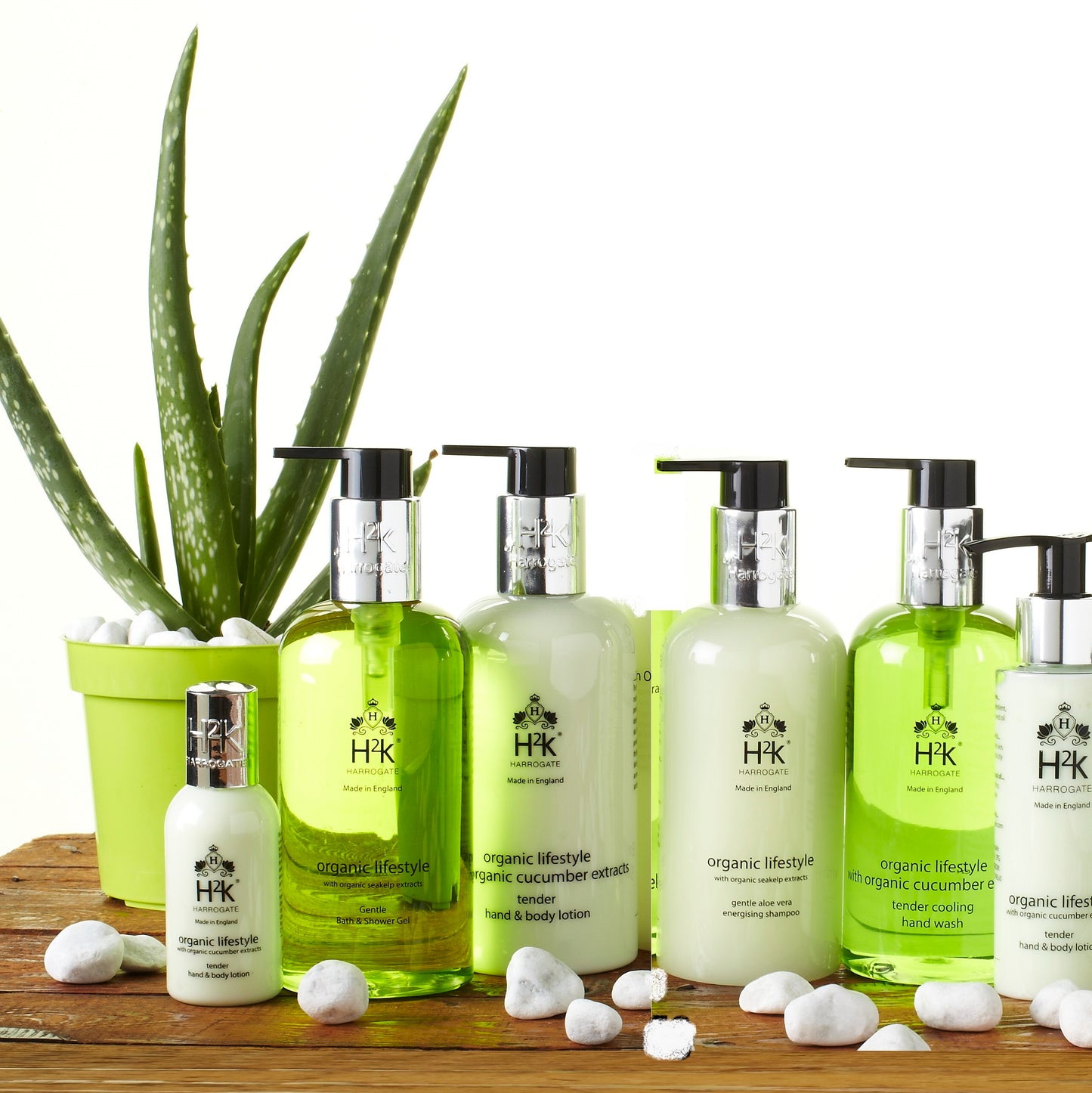 Anti-frizz Hair Shampoo with Seakelp and Aloe Vera