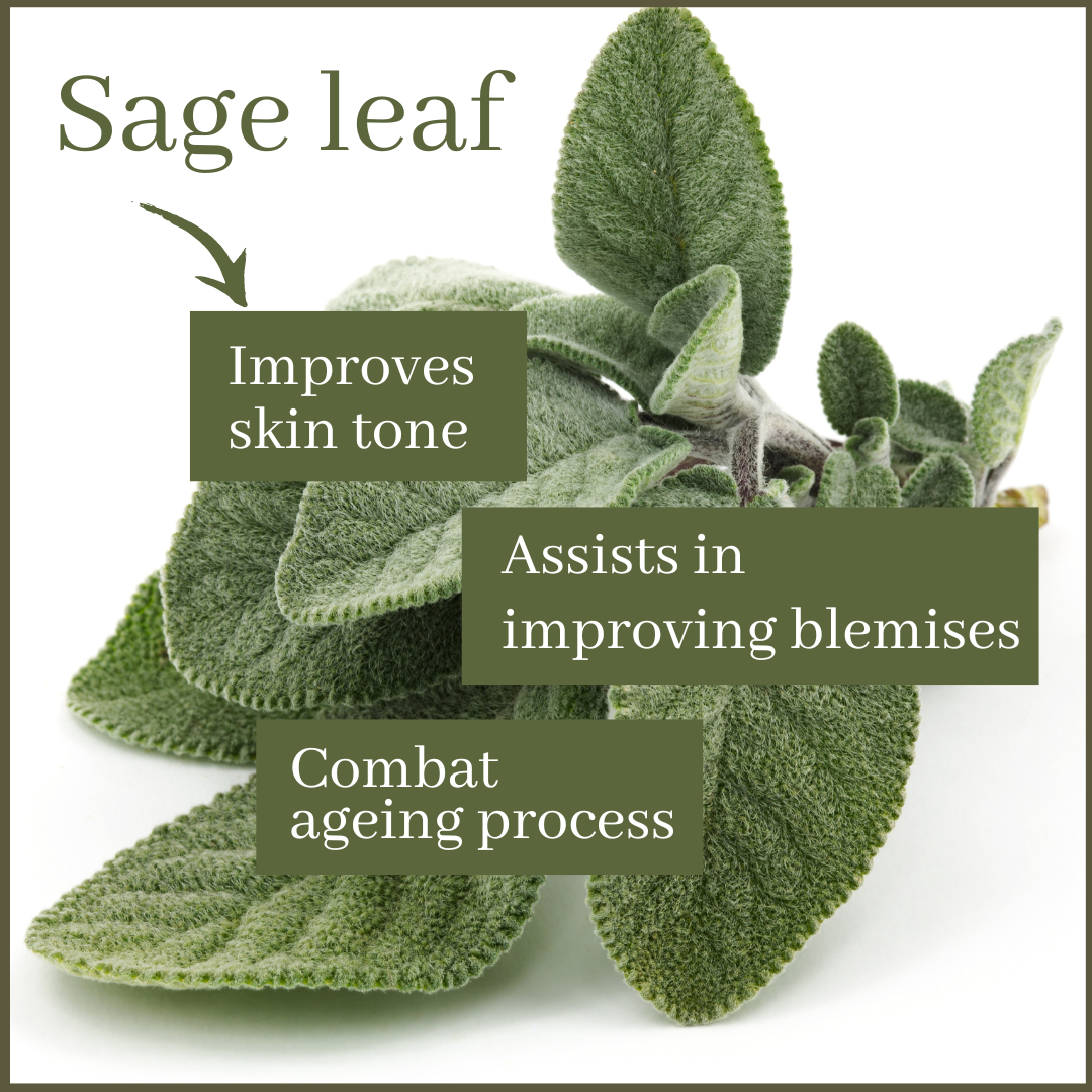 Sage Leaf Hand Wash