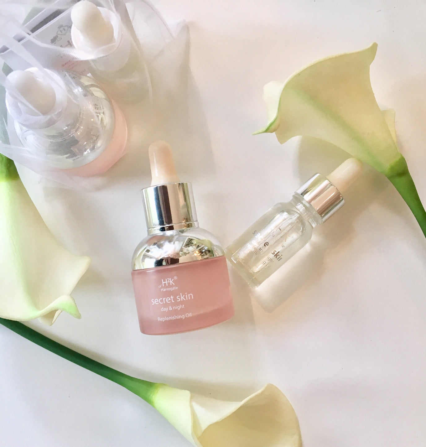 Day & Night Replenishing Oil Secret Skin