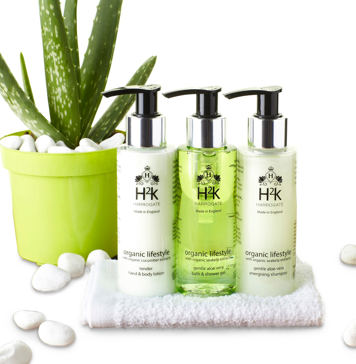 Organic lifestyle Holiday Bag with Seakelp, Aloe Vera and Cucumber Trio
